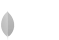 mongoDB oppy-one
